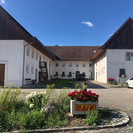 Babsi Appartments - Leben Am Land Wels Exterior foto