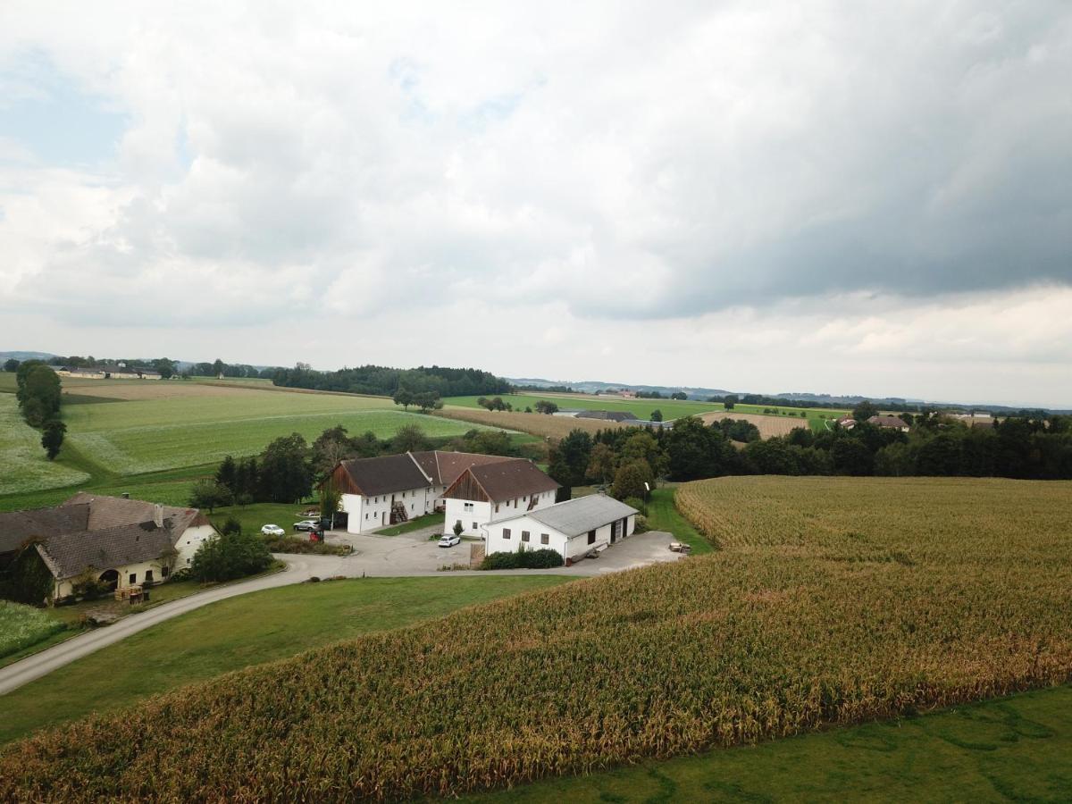 Babsi Appartments - Leben Am Land Wels Exterior foto