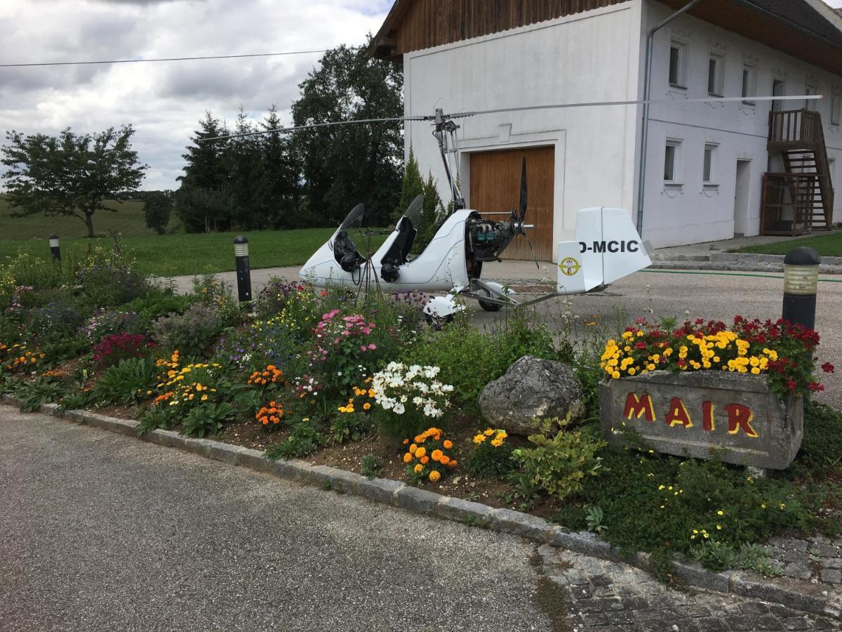 Babsi Appartments - Leben Am Land Wels Exterior foto