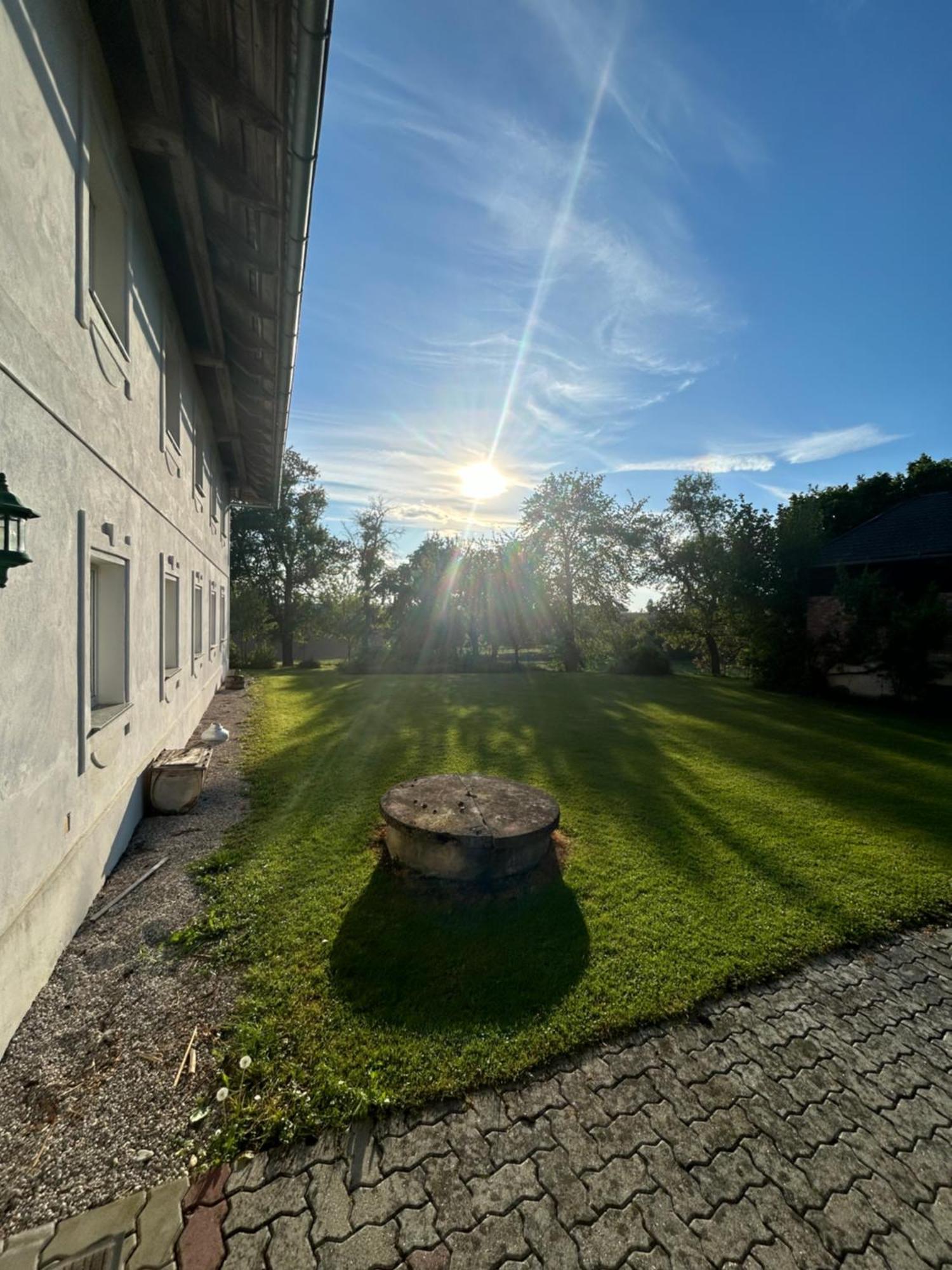 Babsi Appartments - Leben Am Land Wels Exterior foto